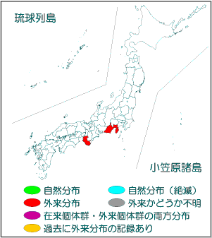 国内分布図