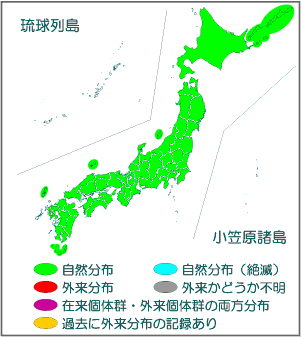 国内分布図