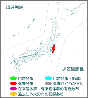 国内分布図