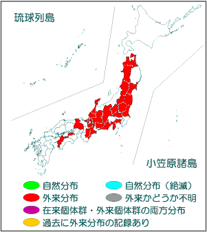 国内分布図