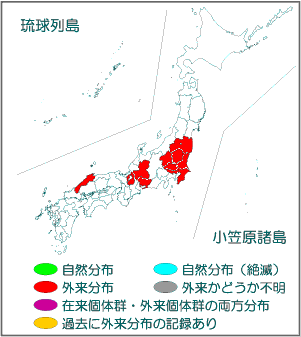 チャネルキャットフィッシュ 国立環境研究所 侵入生物db