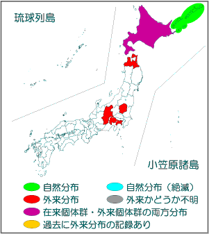 国内分布図