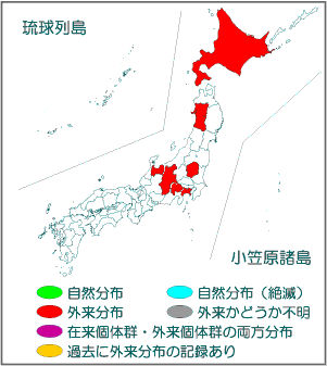 国内分布図