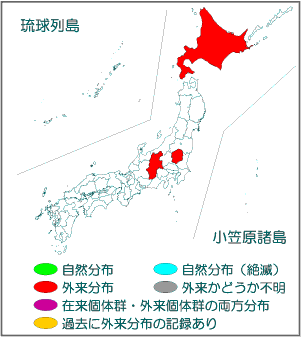 国内分布図