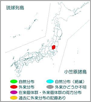 国内分布図