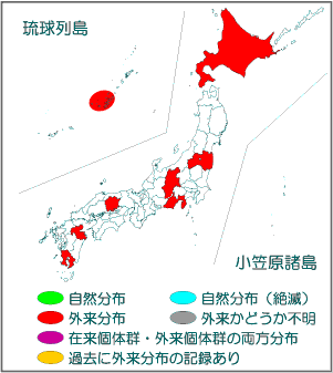 国内分布図