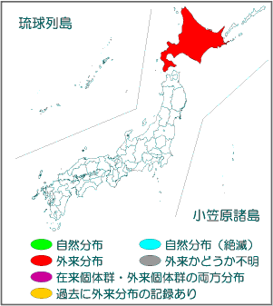 国内分布図