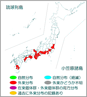 国内分布図