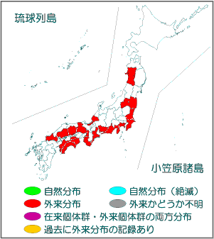 国内分布図