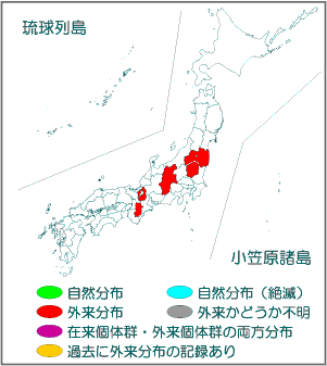 国内分布図