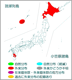 国内分布図