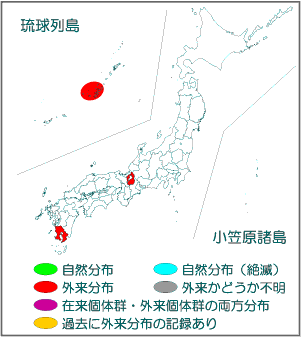 国内分布図