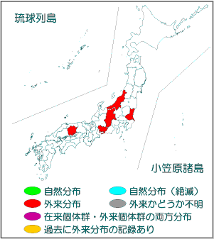 国内分布図