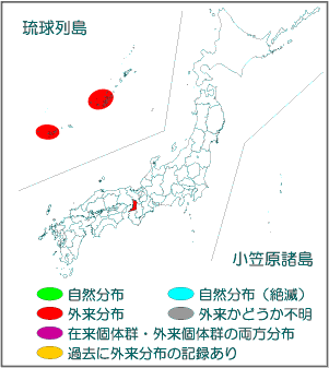 国内分布図