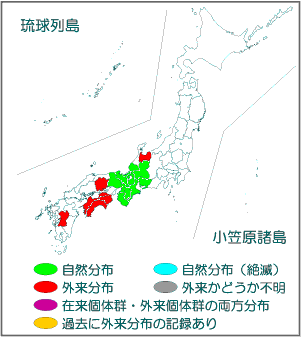 国内分布図