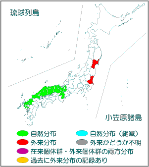 国内分布図