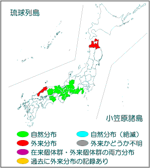 国内分布図