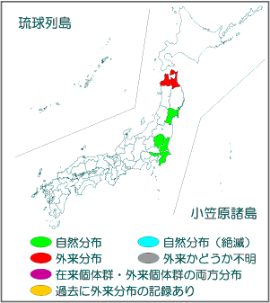 国内分布図