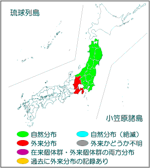 国内分布図