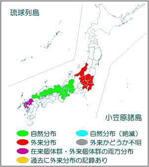 国内分布図