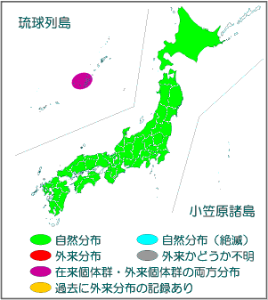 国内分布図