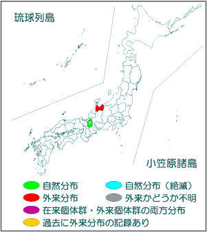 国内分布図