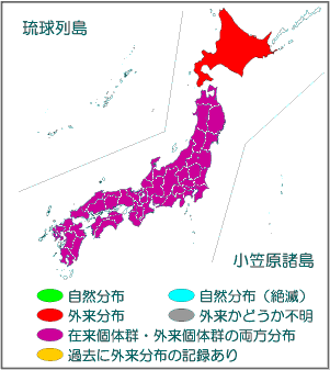 国内分布図