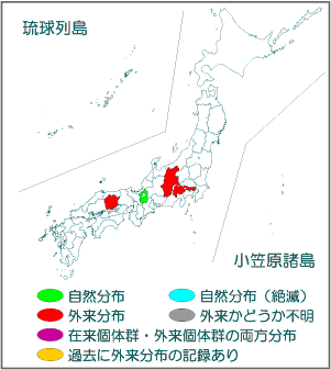 国内分布図