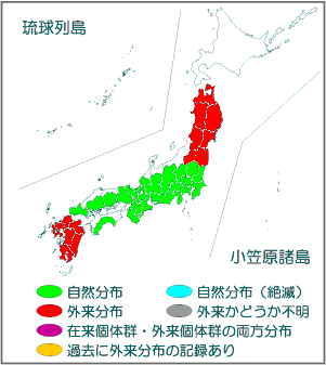 国内分布図