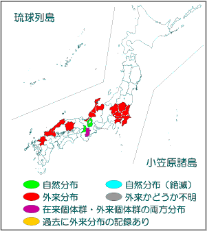 国内分布図