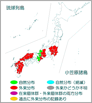 国内分布図