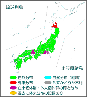 国内分布図