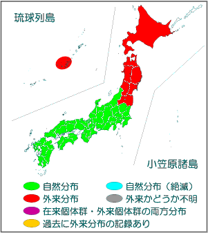 国内分布図