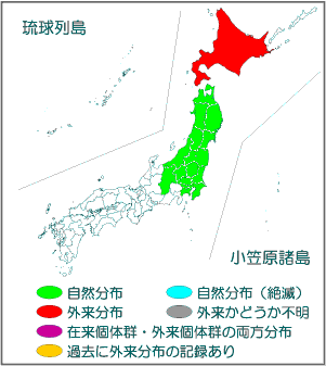 国内分布図