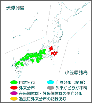 国内分布図