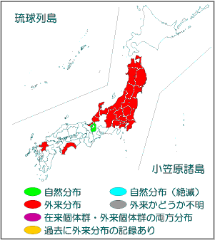 国内分布図