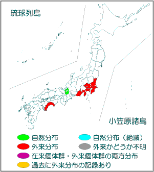 国内分布図