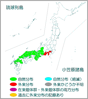 国内分布図