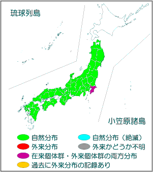 国内分布図