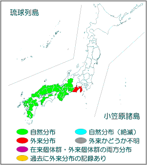 国内分布図