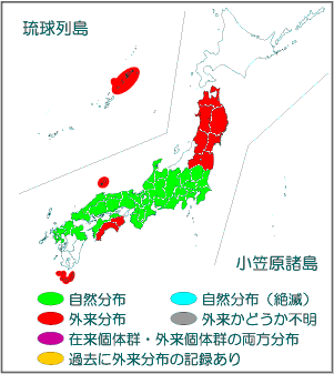 国内分布図