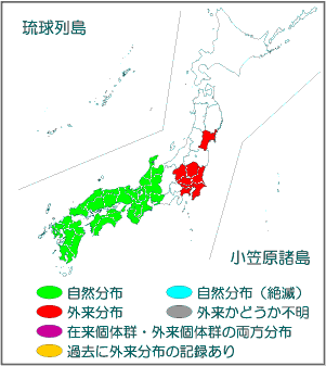 国内分布図