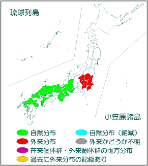 国内分布図