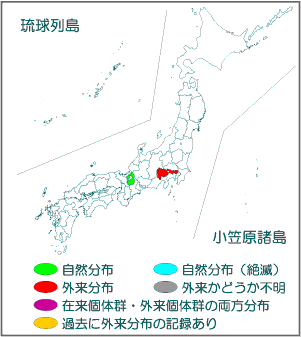 国内分布図