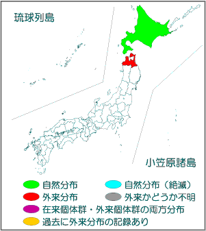 国内分布図