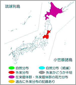 国内分布図