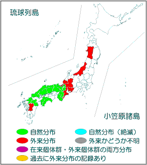 国内分布図