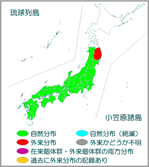 国内分布図