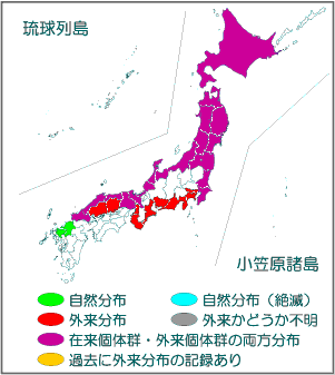 国内分布図