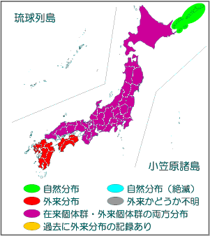 国内分布図